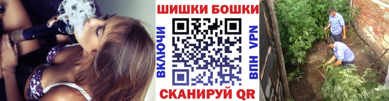 Бошки Шишки MAZAR  MEGA ссылки  Кедровый 